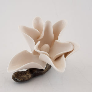 Bronze branch - White porcelain magnolia (S)