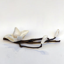 Load image into Gallery viewer, Bronze branch - White porcelain magnolia (M)
